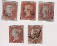 SG12 QV 1D RED ORANGE-BROWN X 5